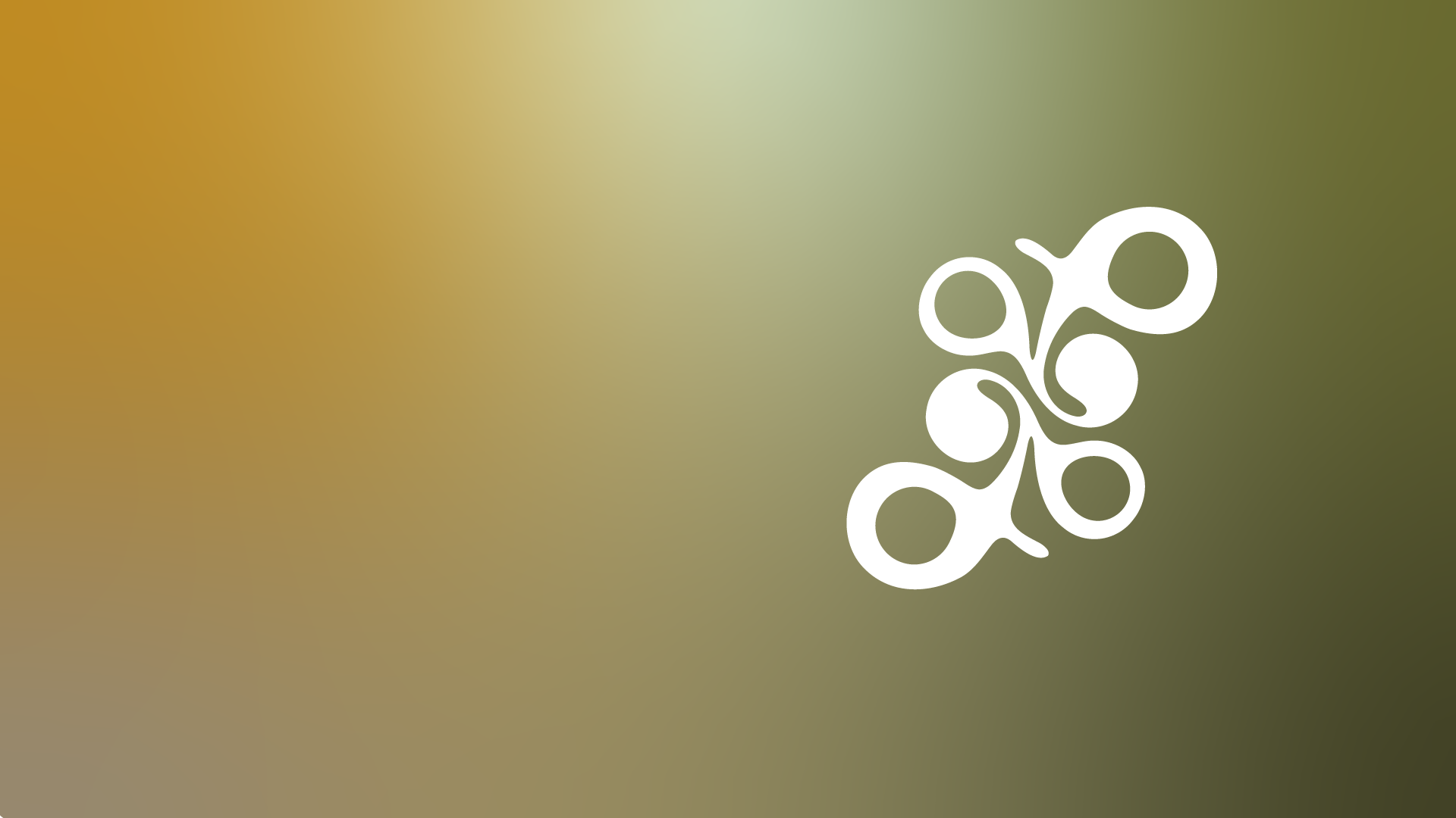 Armita Banner